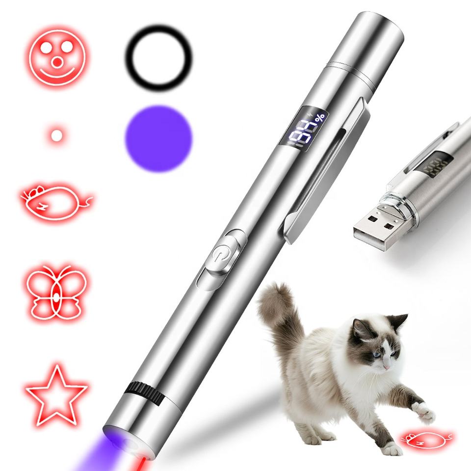 USB Rechargeable Laser Pointer Pet Toy with 3 Light Modes