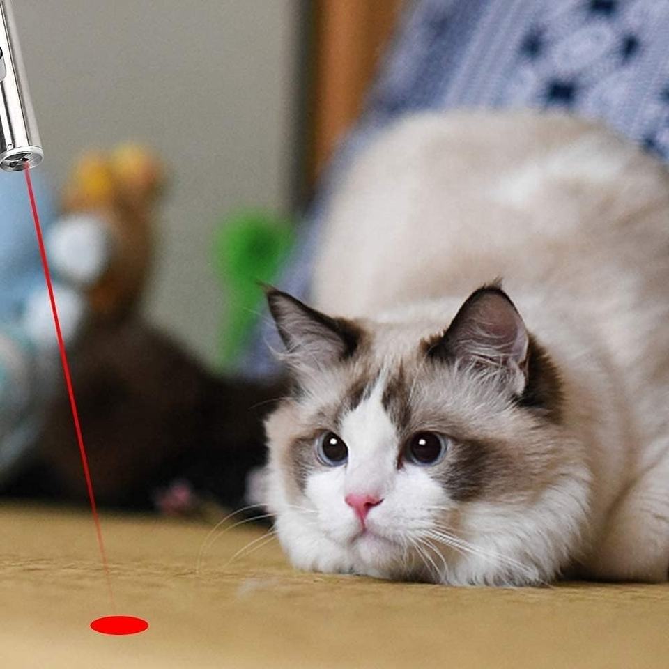 3-in-1 USB Rechargeable Laser Pointer with UV Light - Image 6