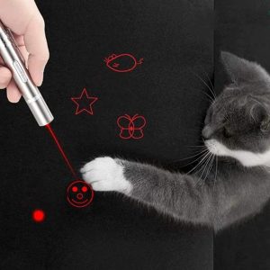 Interactive Pet Laser Toy for Cats