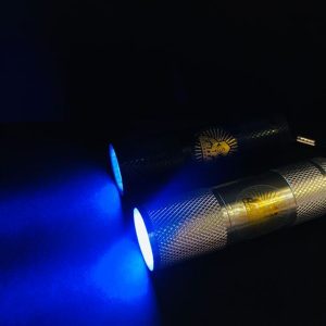 UV Blacklight Flashlight